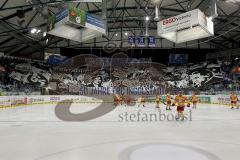 ERC Ingolstadt - Düsseldorfer EG - Fanchoreografie zum 50. Geburtstag - Foto: Jürgen Meyer