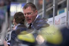 DEL - ERC Ingolstadt - Eisbären Berlin - Cheftrainer Niklas Sundblad