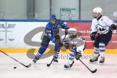 U16 - ERC Ingolstadt - SC Riesersee - link (9) Robert Hechtl