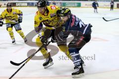 DEL - ERC Ingolstadt - Krefeld Pinguine - John Laliberte (#15 ERC Ingolstadt) - Adam Courchaine #12 Krefeld -  Foto: Jürgen Meyer