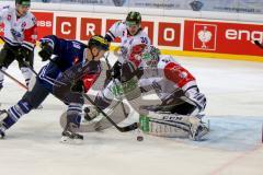 CHL - ERC Ingolstadt - EV Zug - Christoph Gawlik (#19 ERC Ingolstadt) - Stephan Tobias Torwart EV Zug - Foto: Jürgen Meyer