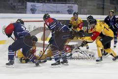 CHL- Champions League - ERC Ingolstadt - SaiPa Lappeenranta - Thomas Greilinger (#39 ERC Ingolstadt) - Ryan MacMurchy (#27 ERC Ingolstadt) - Foto: Jürgen Meyer