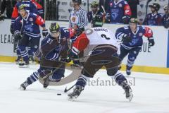 CHL- ERC Ingolstadt - EV Zug -  Ryan MacMurchy (#27 ERC Ingolstadt) - Foto: Jürgen Meyer