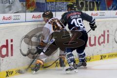 DEL - ERC Ingolstadt - Grizzly Adams Wolfsburg - Christoph Gawlik (#19 ERC Ingolstadt) - Tim Hambly #41 Wolfsburg - Foto: Jürgen Meyer