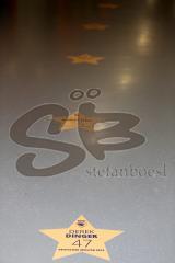 DEL - ERC Ingolstadt - Düsseldorfer EG  - Walk of Fame in der Saturn Arena - Foto: Jürgen Meyer