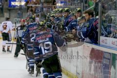 DEL - ERC Ingolstadt - Grizzly Adams Wolfsburg - Abklatschen mit den Spielern nach dem 2:1 durch Ryan MacMurchy (#27 ERC Ingolstadt) - Foto: Jürgen Meyer