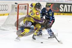 ERC Ingolstadt - Krefeld Pinguine - Jared Ross (#42 ERC Ingolstadt) - Colin Long #18 Krefeld - Foto: Jürgen Meyer