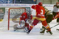 DEL - ERC Ingolstadt - Düsseldorfer EG  - Ryan MacMurchy (#27 ERC Ingolstadt) - Stephan Daschner #3 rot Düsseldorf - Foto: Jürgen Meyer