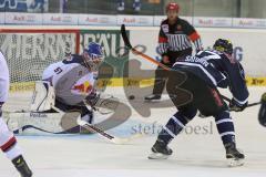 DEL - ERC Ingolstadt - EHC RedBull München - Petr Taticek (17) knapp am Tor vorbei, Florian Hardy (Nr.51,Torwart EHC Red Bull München)