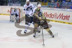 DEL - ERC Ingolstadt - Hamburg Freezers - rechts Martin Davidek (12) links lauert Goalie Sebastien Caron (HF - 35)