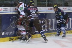 DEL - ERC Ingolstadt - Kölner Haie - Michel Periard (#6 ERC Ingolstadt) -  Foto: Jürgen Meyer