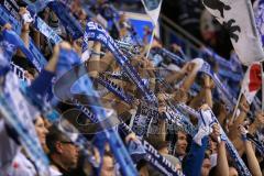 DEL - Saison 2014/2015 - ERC Ingolstadt - Augsburg Panther EV - Fans Fahnen Sieg Jubel