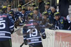 DEL - Eishockey - ERC Ingolstadt - Hamburg Freezers - rechts Christoph Gawlik (ERC 19) trifft zum 6:0 Tor Jubel an der Bande