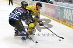 ERC Ingolstadt - Krefeld Pinguine -Thomas Greilinger (#39 ERC Ingolstadt) - Nick St. Pierre #44 Krefeld -  Foto: Jürgen Meyer