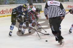 DEL - ERC Ingolstadt - Kölner Haie KEC - links Eddy Rinke-Leitans (91) und rechts Mirko Lüdemann