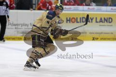 DEL - ERC Ingolstadt - Düsseldorfer EG  - Petr Taticek (#17 ERC Ingolstadt) - Foto: Jürgen Meyer