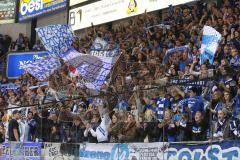 DEL - ERC Ingolstadt - Thomas Sabo Ice Tigers - Fans Fahnen Jubel Sieg