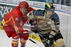 DEL - ERC Ingolstadt - Düsseldorfer EG  - Petr Taticek (#17 ERC Ingolstadt) - Foto: Jürgen Meyer