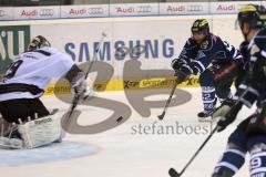 DEL - ERC Ingolstadt - Thomas Sabo Ice Tigers - rechts Jared Ross (42) scheitert an Torwart Andreas Jenike