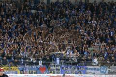 DEL - ERC Ingolstadt - Thomas Sabo Ice Tigers - Fans Jubel Fahnen