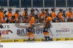 DEL - ERC Ingolstadt - Grizzly Adams Wolfsburg - Tor durch Wolfburg 0:1 durch Robin Bina