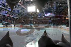 DEL - Eishockey - Finale 2015 - Spiel 2 - ERC Ingolstadt - Adler Mannheim - Fans Jubel Spruchband Choreo Pantherkopf