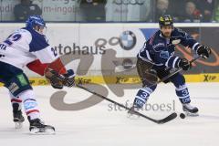 DEL - Eishockey - Finale 2015 - Spiel 6 - ERC Ingolstadt - Adler Mannheim - Benedikt Kohl (ERC 34)