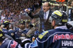 DEL - Eishockey - Playoff - Spiel 3 - ERC Ingolstadt - DEG Düsseldorf - Timeout, Cheftrainer Larry Huras peitscht sein Team an der Bank energisch nach vorne