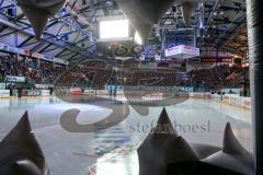 DEL - Eishockey - Finale 2015 - Spiel 2 - ERC Ingolstadt - Adler Mannheim - Fans Jubel Spruchband Choreo Pantherkopf