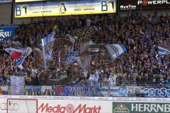 DEL - Eishockey - Finale 2015 - Spiel 2 - ERC Ingolstadt - Adler Mannheim - Fans Jubel Sieg Fahnen Ole