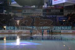 DEL - Eishockey - Finale 2015 - Spiel 2 - ERC Ingolstadt - Adler Mannheim - Fans Jubel Spruchband Choreo