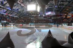 DEL - Eishockey - Finale 2015 - Spiel 2 - ERC Ingolstadt - Adler Mannheim - Fans Jubel Spruchband Choreo Pantherkopf