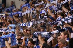 DEL - Eishockey - Finale 2015 - Spiel 2 - ERC Ingolstadt - Adler Mannheim - Sieg Schals Fans Jubel