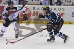 DEL - ERC Ingolstadt - Kölner Haie - Brendan Brooks (#49 ERC Ingolstadt) -  Foto: Jürgen Meyer