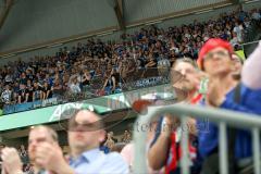 DEL - Eishockey - Finale 2015 - Spiel 5 - Adler Mannheim - ERC Ingolstadt - Fans traurig 2. Tor gegen Ingolstadt