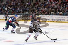 DEL - Eishockey - Finale 2015 - Spiel 5 - Adler Mannheim - ERC Ingolstadt - Christoph Gawlik (ERC 19)