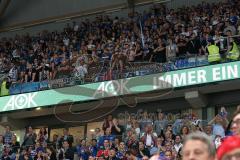 DEL - Eishockey - Finale 2015 - Spiel 5 - Adler Mannheim - ERC Ingolstadt - Fans traurig 2. Tor gegen Ingolstadt