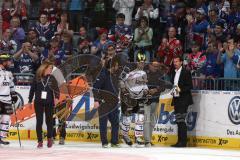 DEL - Eishockey - Finale 2015 - Spiel 5 - Adler Mannheim - ERC Ingolstadt - Benedikt Schopper (ERC 11) liegt am Boden, Betreuer fordern Halskrause