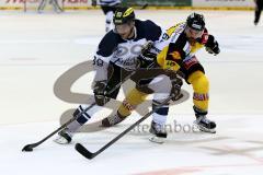 ERC Ingolstadt - Vienna Capitals - Thomas Greilinger (#39 ERC Ingolstadt) -  Foto: Jürgen Meyer