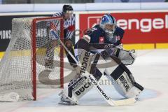 CHL - Champions Hockey League 2015 - ERC Ingolstadt - Braehead Clan - Torwart Marco Eisenhut (ERC 31)