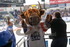 CHL - Champions Hockey League 2015 - ERC Ingolstadt - Braehead Clan - Das Maskottchen von Braehead Clan bei den Fans