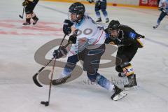 Eishockey - DNL - ERC Ingolstadt - EV Füssen - Felsoci David weiß ERC Ingolstadt - Keller Marius schwarz Füssen - Foto: Jürgen Meyer