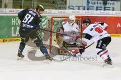 DEL - Eishockey - ERC Ingolstadt - Kölner Haie - Saison 2015/2016 - Tomas Kubalik (#81 ERC Ingolstadt) - Gustaf Wesslau Torwart (#29 Köln) - Jason Williams (Moritz Müller (#91 Köln) - Foto: Meyer Jürgen