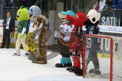 DEL - Eishockey - ERC Ingolstadt - Düsseldorfer EG - Saison 2015/2016 - Maskottchen vor dem Rennen - Foto: Jürgen Meyer