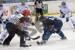 DEL - Eishockey - ERC Ingolstadt - Straubing Tigers - Bully rechts Jared Ross (ERC 42)