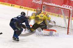 DEL - Eishockey - ERC Ingolstadt - Krefeld Pinguine - Saison 2015/2016 - Petr Taticek (#17 ERC Ingolstadt) - Patrick Galbraith Torwart (#31 Krefeld)  - Foto: Meyer Jürgen