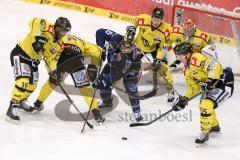 DEL - Eishockey - ERC Ingolstadt - Krefeld Pinguine - Saison 2015/2016 - John Laliberte (#15 ERC Ingolstadt) - Patrick Galbraith Torwart (#31 Krefeld)  - Robin Weihager (#55 Krefeld)  - Kyle Sonnenburg (#34 Krefeld)  - Yared Hagos (#19 Krefeld)  - Foto: M