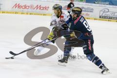 DEL - Eishockey - ERC Ingolstadt - Eisbären Berlin - Saison 2015/2016 - Brandon Buck (#9 ERC Ingolstadt) - Dupont Michael (#25 Berlin) - Foto: Meyer Jürgen