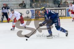 DEL - Eishockey - ERC Ingolstadt - Düsseldorfer EG DEG -  Petr Taticek (ERC 17) auf dem Weg zum Tor, links kommt Stephan Daschner (3 DEG)