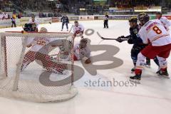 DEL - Eishockey - ERC Ingolstadt - Düsseldorfer EG - Saison 2015/2016 - Petr Taticek (#17 ERC Ingolstadt) - Martin Davidek (#12 ERC Ingolstadt) - Rönnberg Joonas (#8 Düsseldorf)  - Niederberger Mathias Torwart (#35 Düsseldorf) - Foto: Meyer Jürgen